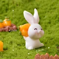 Back Carrot Rabbit