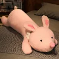 conejo