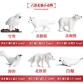 Arctic animals