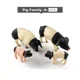 Pig Family --A