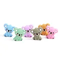 Koala 6PC