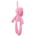 Pink Rabbit