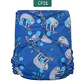 CP31