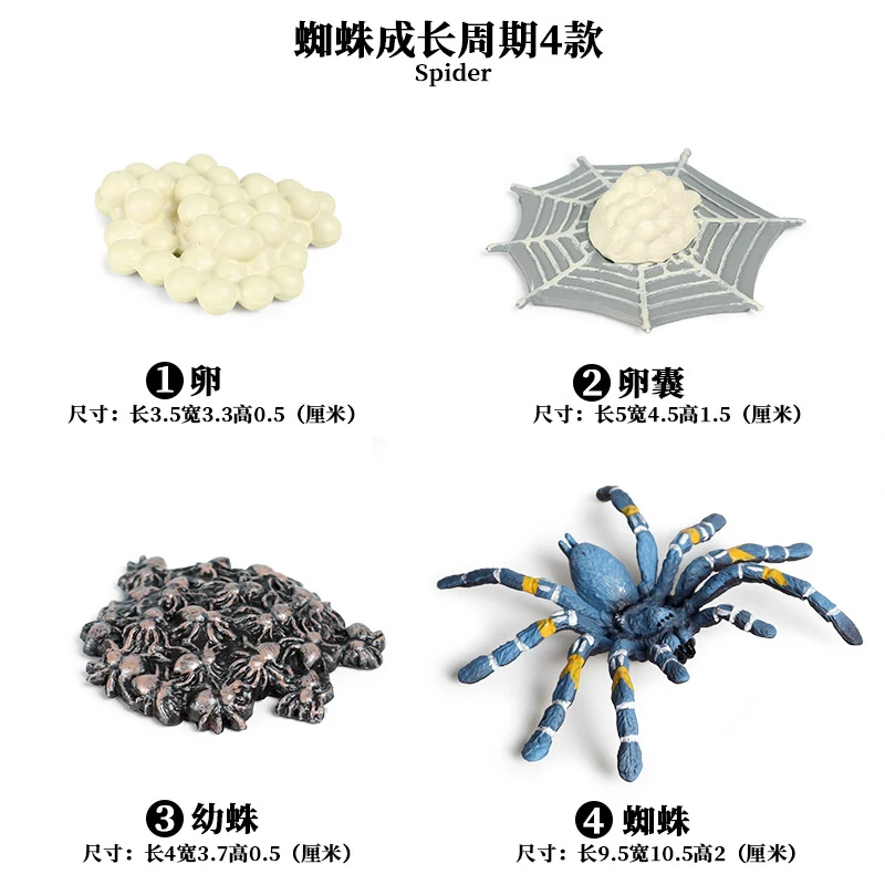 Spider - 3