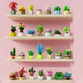 1PCS Random style