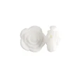 10Pcs White
