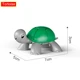 Tortoise