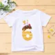 H2573-KSTWH-