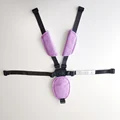 Belt -Violet