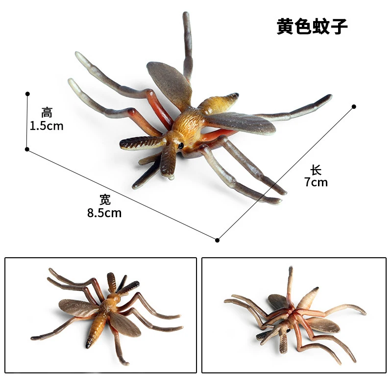 Un modelo de una criatura marina, que parece ser una representación de una araña marina o un artrópodo marino similar. El modelo es detallado, con varios apéndices y patas característicos de este tipo de criaturas.