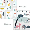 Zoo Car
