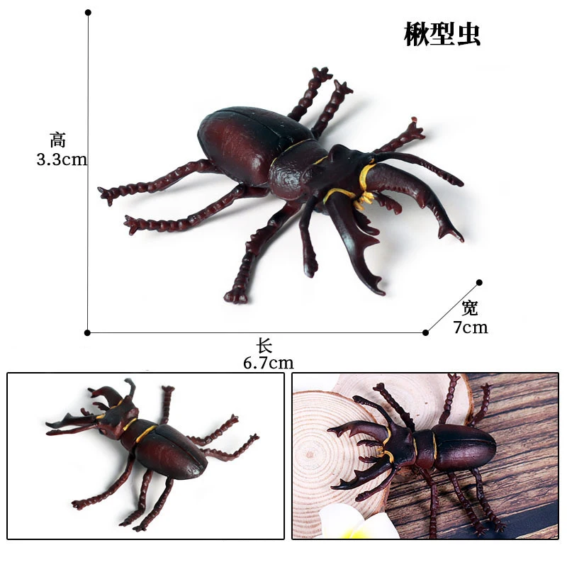 Animal 5