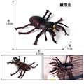 Animal 5