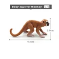 Baby Squirrel Monkey