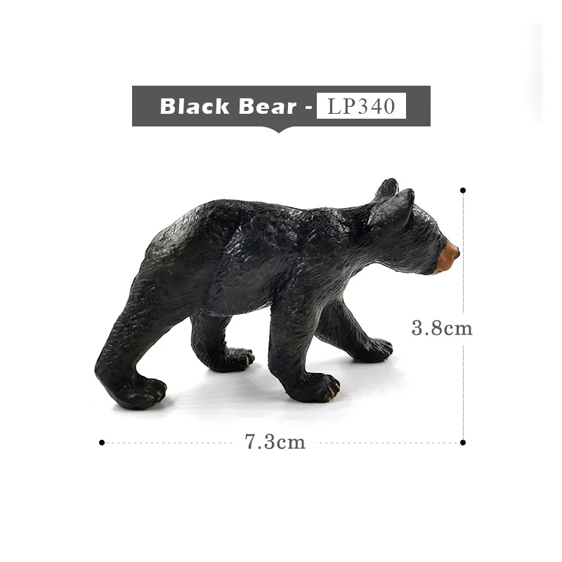 Black Bear