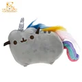 Rainbow Cat