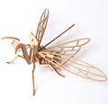 Praying Mantis