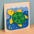 07-tortoise