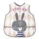 BIB003-01