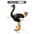 Ostrich -b