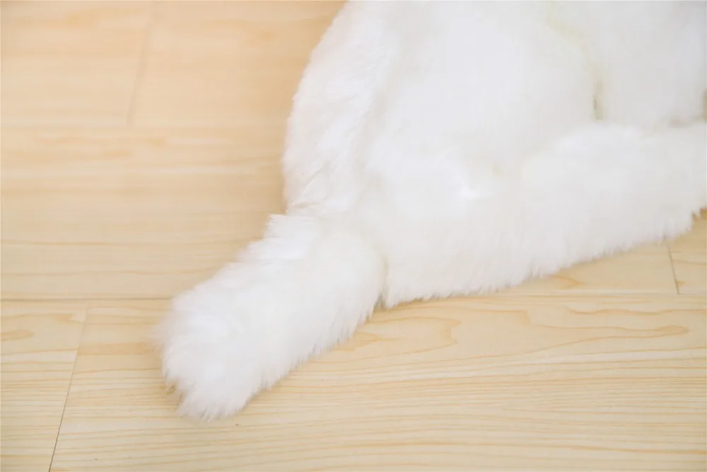 Perro maltés de peluche como regalo