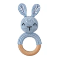 bunny-B13