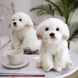 Peluche perro maltés realista y suave – Regalo para cumpleaños