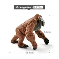 Orangutan