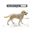 Big White dog