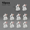 10pcs White Rabbit