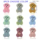 5PCS CHOOSE COLOR