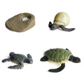 Animal 6