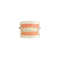 Teether-251Y