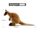 Little Kangaroo