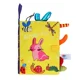 TI955  Rabbit
