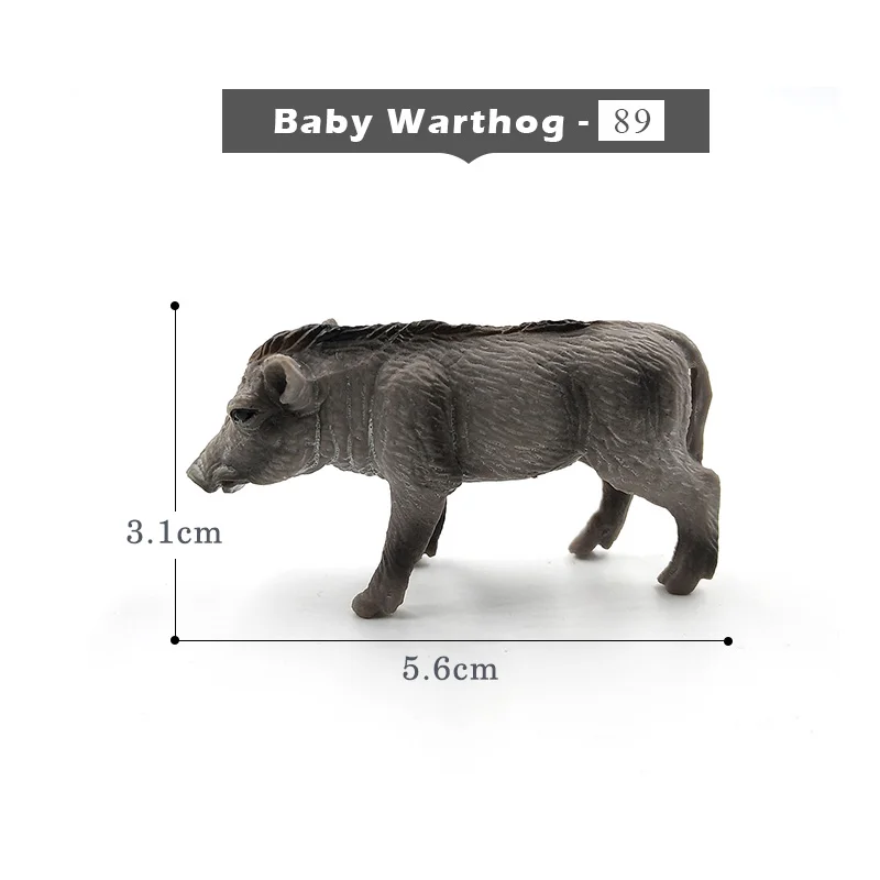 Baby Warthog
