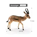 Antelope