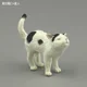 Tuxedo Cat
