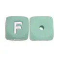 10pcs F