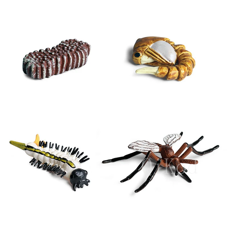 Animal 2