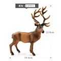Elk