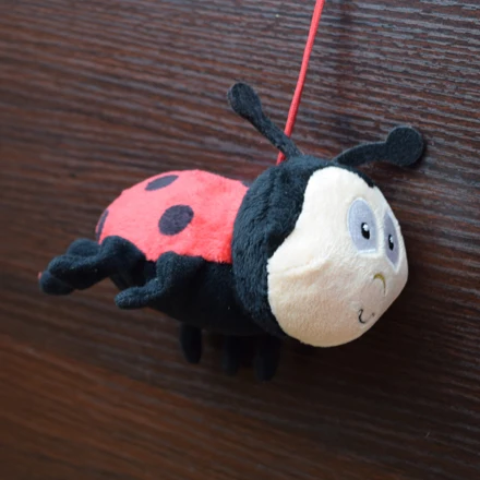 Mini ladybug