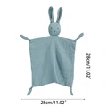 rabbit B1-28x28cm