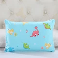 Color 11-pillowcase