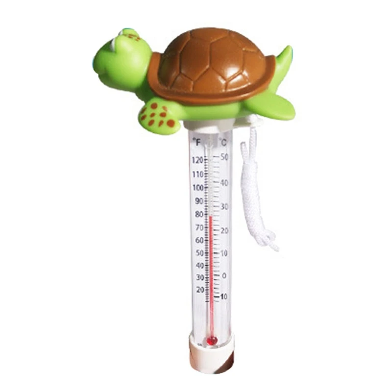 tortoise
