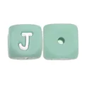 10pcs J