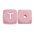 100pcs T