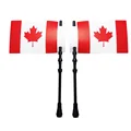 Canada Flag Big