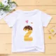 H2572-KSTWH-