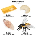 Bee - 1